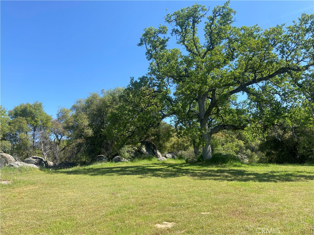 MLS #MP25073835 image #5
