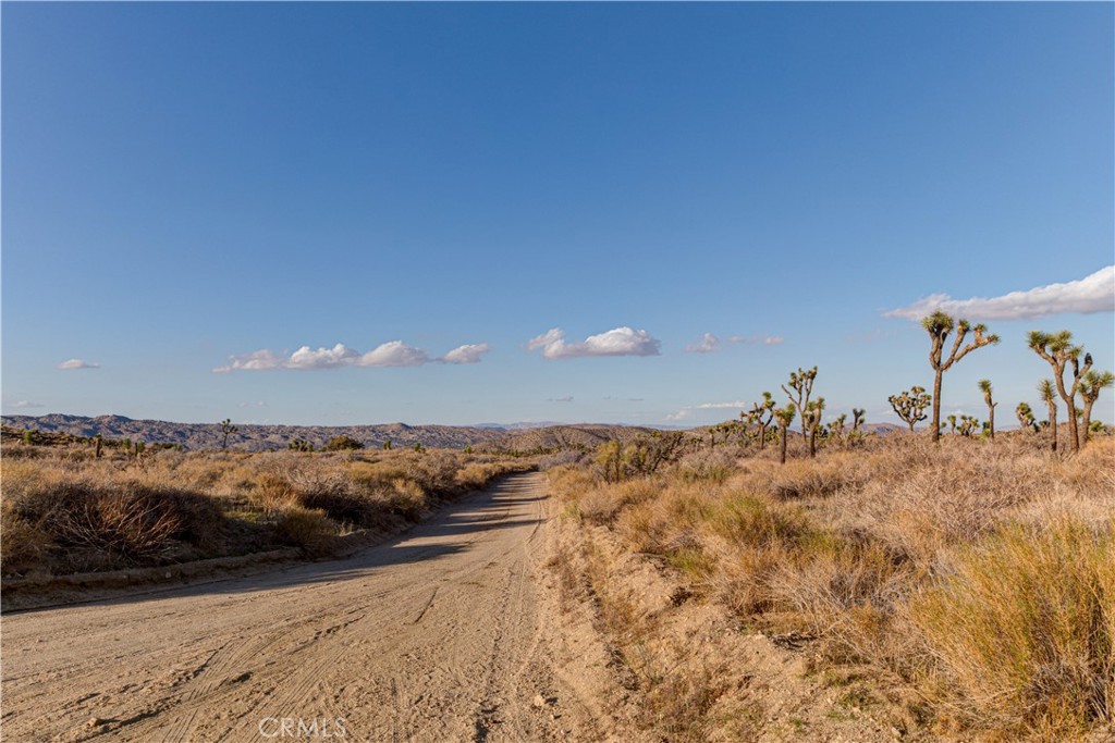 MLS #JT25229239 image #25