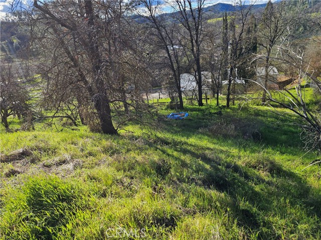 Detail Gallery Image 9 of 15 For 10167 Bell, Lower Lake,  CA 95457 - – Beds | – Baths