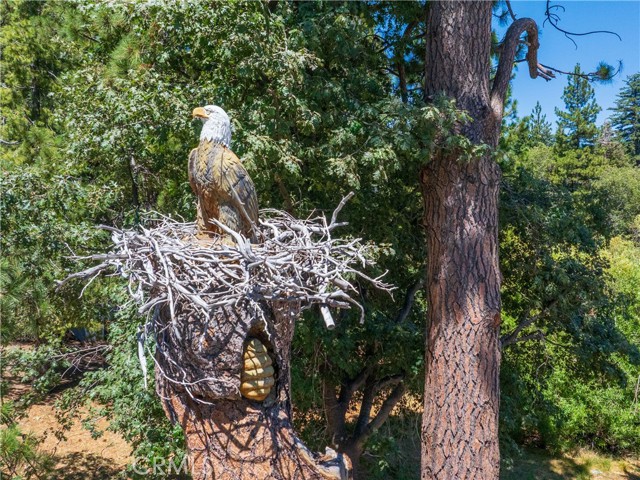 2395 Hunsaker Drive, Running Springs CA: https://media.crmls.org/medias/3ac2f4ae-178a-4351-9396-1ad92854399f.jpg