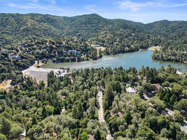 107 Pine Ridge, Crestline, CA 92325