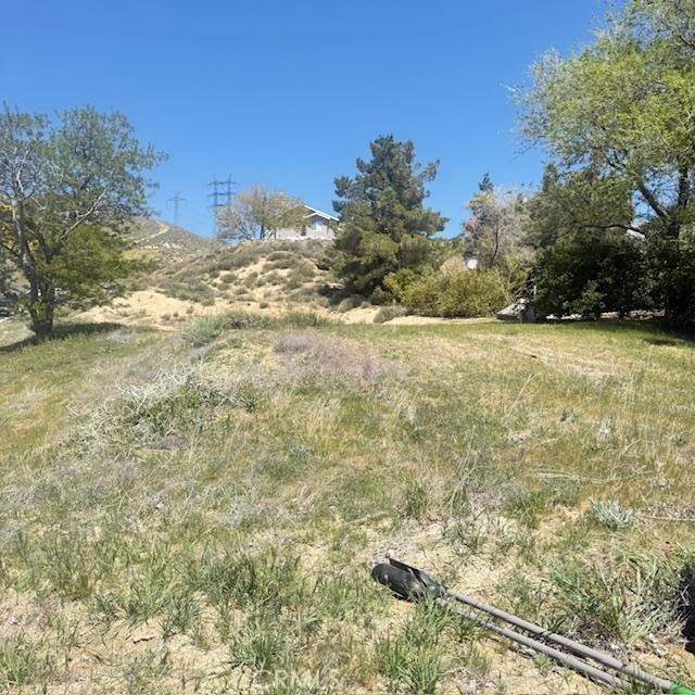 1 Johnson Road, Lake Elizabeth CA: https://media.crmls.org/medias/3ac7bb5d-5002-4fd3-ae55-d021dd7d99f7.jpg