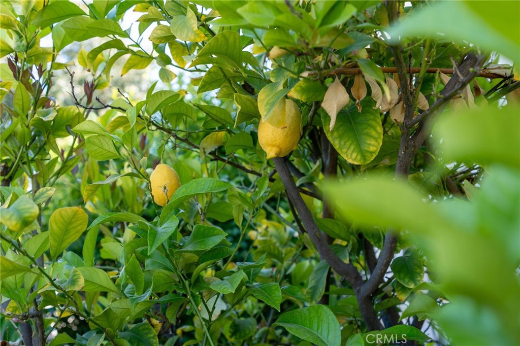 https://media.crmls.org/medias/3acb6d4e-7140-48fe-9d54-83d5784d314a.jpg?preset=X-Large