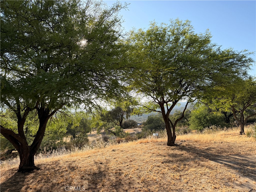 https://media.crmls.org/medias/3ace5c4d-58d5-4535-a2d4-20ef0753a63a.jpg?preset=X-Large