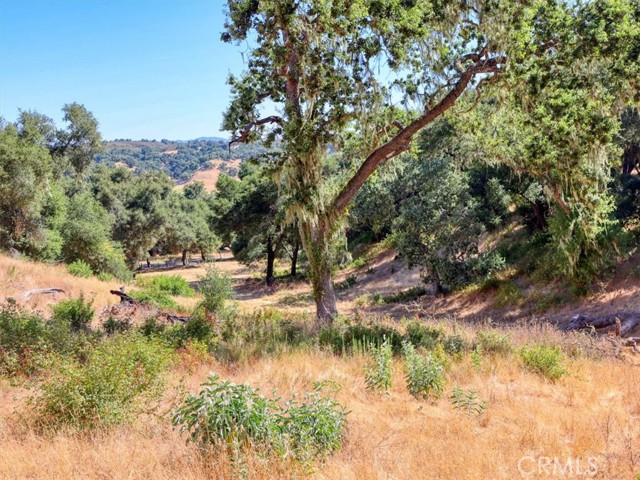 Detail Gallery Image 11 of 32 For 0 Huasna Rd, Arroyo Grande,  CA 93420 - – Beds | – Baths