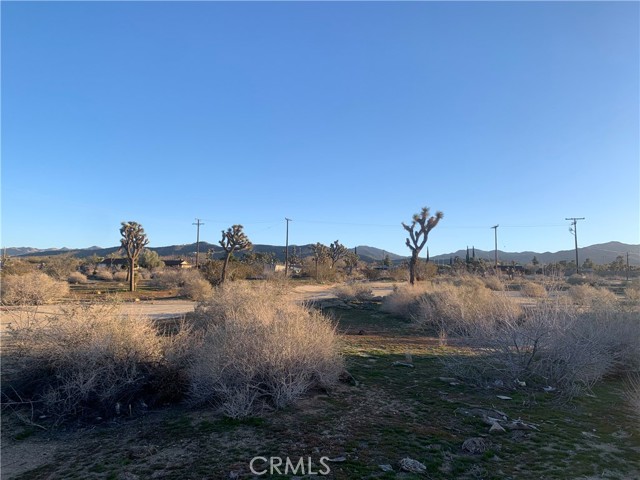 57335 Twentynine Palms, Yucca Valley, California 92284, ,Land,For Sale,57335 Twentynine Palms,CRNP23100972