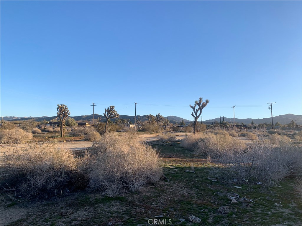 MLS #NP23100972 image #24