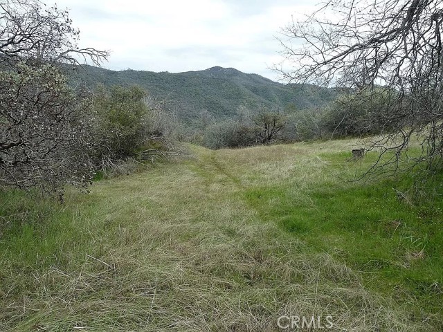 32880 Sycamore Road, Tollhouse, California 93667, ,Land,For Sale,32880 Sycamore Road,CROC24053578