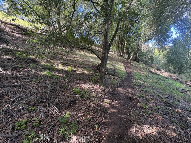 Detail Gallery Image 9 of 20 For 12000 San Marcos, Atascadero,  CA 93422 - – Beds | – Baths