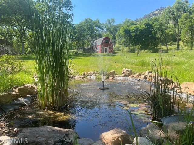 29503 Spence Lane, Tollhouse CA: https://media.crmls.org/medias/3ada9577-c992-489d-a762-2e8bbf2d6efa.jpg