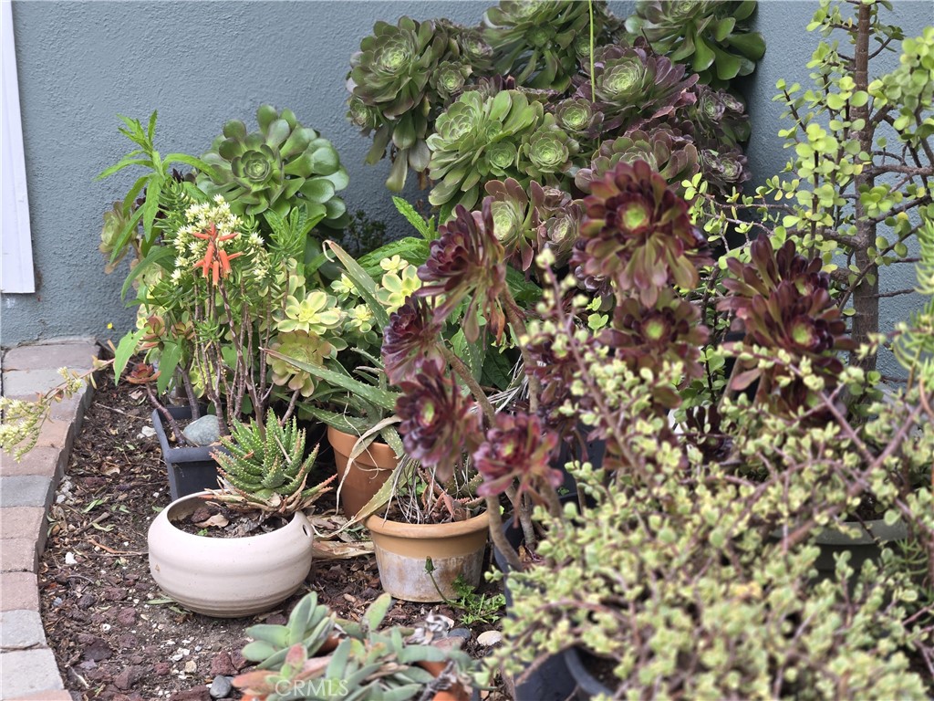 MLS #SR25098964 img 9