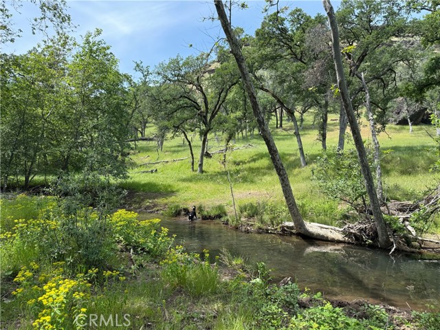 Detail Gallery Image 48 of 59 For 3332 Williams Rd, Butte Valley,  CA 95965 - 6 Beds | 4 Baths
