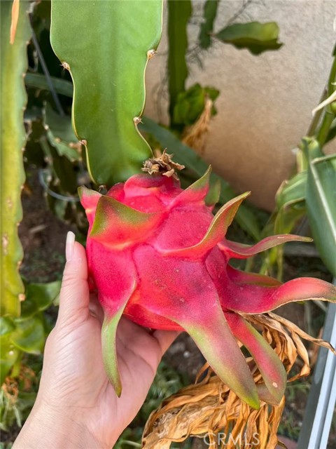 Detail Gallery Image 24 of 30 For 1662 Palermo, Riverside,  CA 92507 - 3 Beds | 2/1 Baths