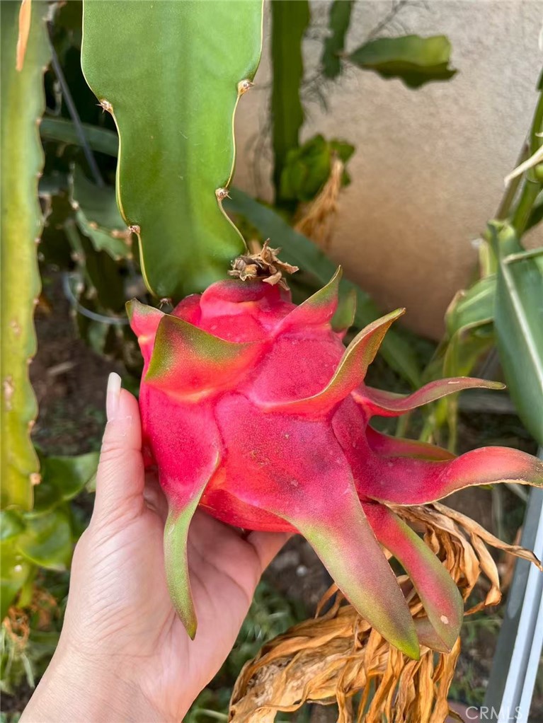 MLS #WS25271554 image #23