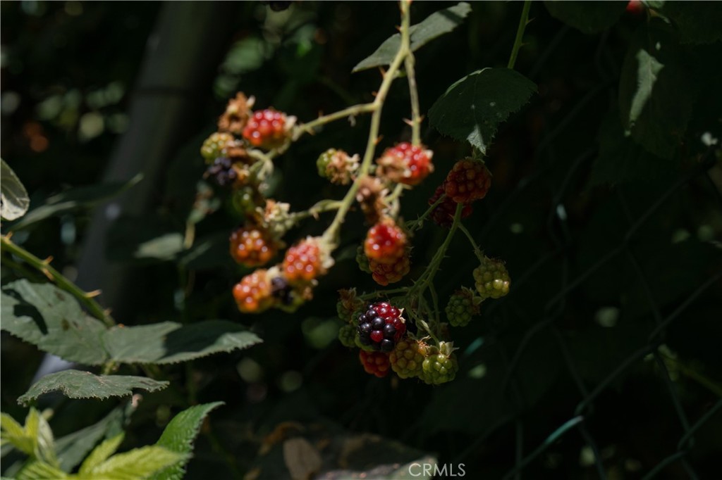 https://media.crmls.org/medias/3af5f2e4-dc37-49b8-893d-9e24ba89c039.jpg?preset=X-Large