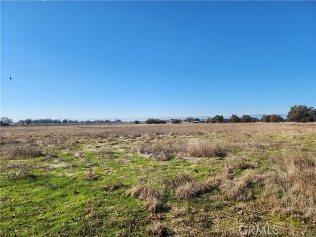 Detail Gallery Image 38 of 42 For 1882 Capay Rd, Corning,  CA 96021 - – Beds | – Baths