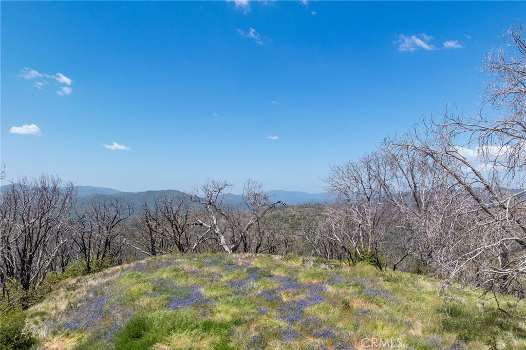 MLS #MP25088475 image #5