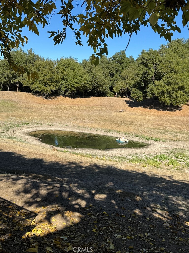 MLS #OC25262578 image #41