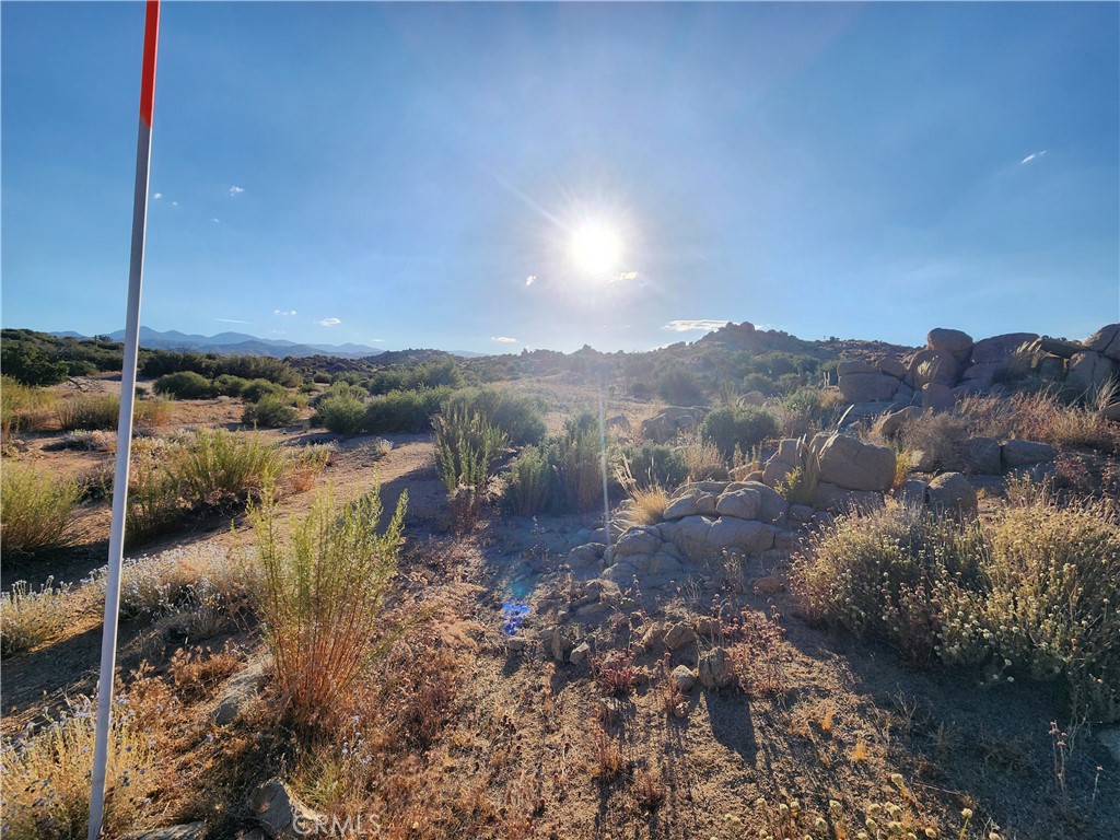 MLS #HD24131813 image #4