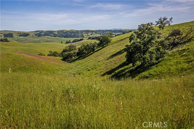 Detail Gallery Image 11 of 29 For 77505 Reinert Rd, San Miguel,  CA 93451 - – Beds | – Baths