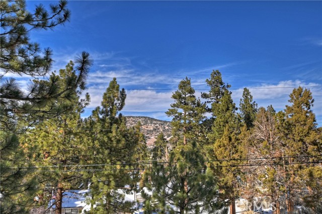 Detail Gallery Image 48 of 48 For 1300 Malabar Way, Big Bear City,  CA 92314 - 7 Beds | 6/1 Baths