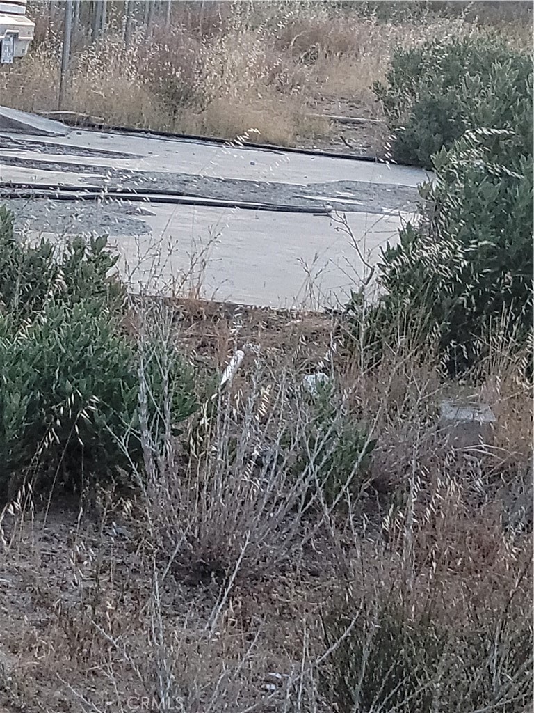 MLS #IV25196430 image #11