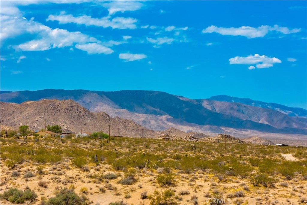 MLS #JT25266671 image #30