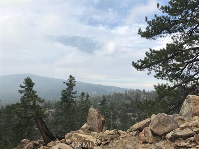 0 Rainbow Lane, Angelus Oaks CA: https://media.crmls.org/medias/3b0a6e5b-c921-49fc-99f3-9cd1bf3d3c4b.jpg