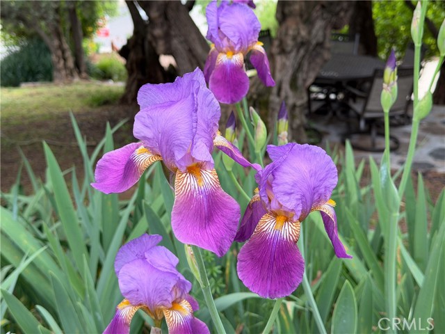 4986 7th Street, Mariposa CA: https://media.crmls.org/medias/3b0a80f3-21cb-4580-95fc-29839bc0b4c1.jpg