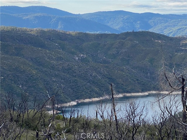 315 Harrison Springs, Berry Creek CA: https://media.crmls.org/medias/3b0b8776-7151-4357-9844-9b8b69252a2b.jpg