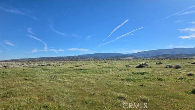 Detail Gallery Image 25 of 36 For 0 Vicinity Ave B12 & 265th St W, –,  CA 93536 - – Beds | – Baths