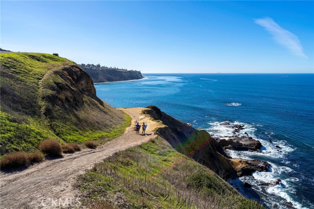 2525 Via Campesina, Palos Verdes Estates CA: https://media.crmls.org/medias/3b1c0d4f-79b9-47b4-a552-abf0e0807edb.jpg