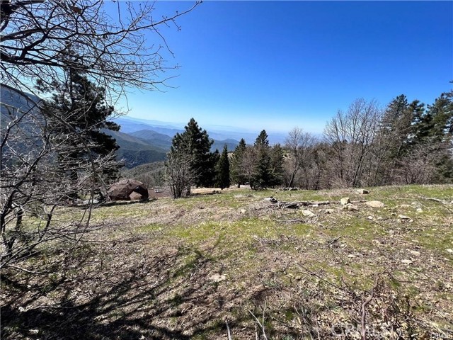 41 Fredalba Road, Running Springs CA: https://media.crmls.org/medias/3b1c3999-e5af-42ef-9889-34180dfd49c0.jpg