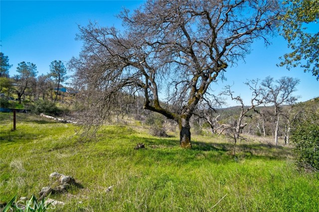Detail Gallery Image 28 of 32 For 300 Stoney Oaks Bld, Oroville,  CA 95966 - 3 Beds | 2/1 Baths