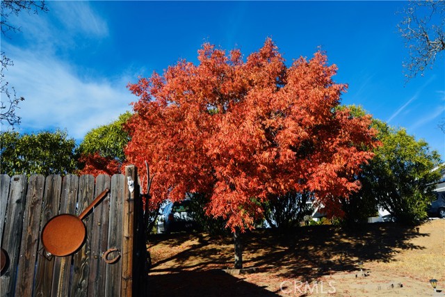 Detail Gallery Image 32 of 36 For 41761 John Muir Dr, Coarsegold,  CA 93614 - 3 Beds | 2 Baths