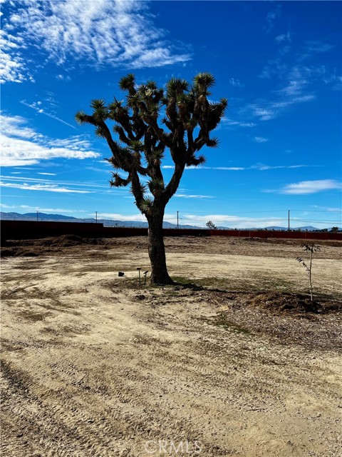 Detail Gallery Image 44 of 52 For 171 Ste Vic Avenue Q2, Palmdale,  CA 93591 - – Beds | – Baths