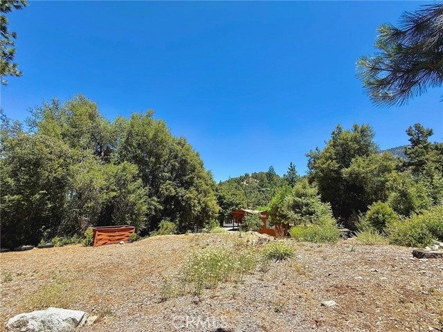 Detail Gallery Image 10 of 34 For 1812 Bernina Dr, –,  CA 93222 - 4 Beds | 2 Baths