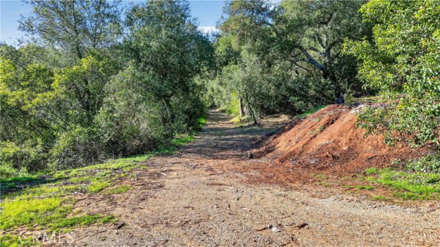 0 Avenida Perla Bonita, Murrieta CA: https://media.crmls.org/medias/3b2d5f68-bb26-4a59-a739-4ce67c888378.jpg