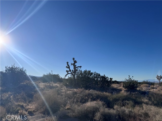 Detail Gallery Image 13 of 15 For 0 Vac/Antelope, Llano,  CA 93544 - – Beds | – Baths