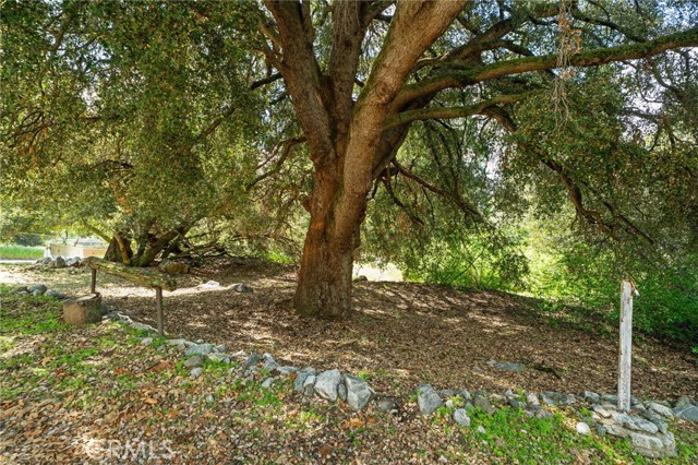 Detail Gallery Image 40 of 57 For 39804 Pine Bench, Yucaipa,  CA 92399 - 4 Beds | 3 Baths