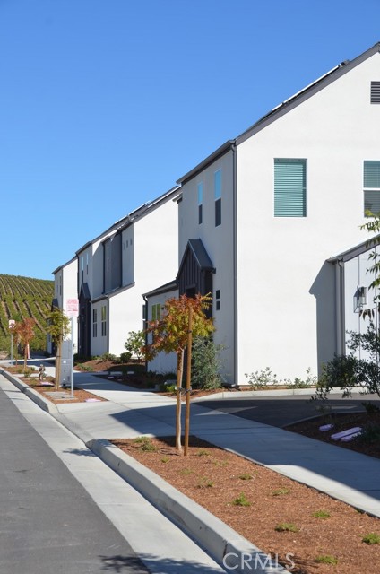 Detail Gallery Image 9 of 15 For 3492 Tancredi Lane, Paso Robles,  CA 93446 - – Beds | – Baths