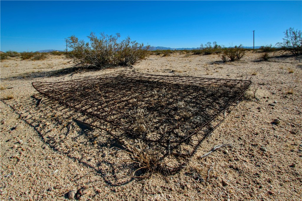 MLS #JT25235067 image #17