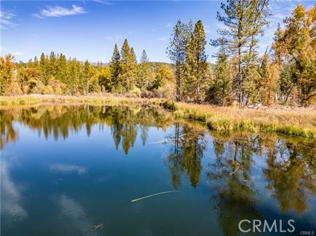 Detail Gallery Image 15 of 54 For 4816 Stumpfield Mountain Rd, Mariposa,  CA 95338 - 2 Beds | 2 Baths