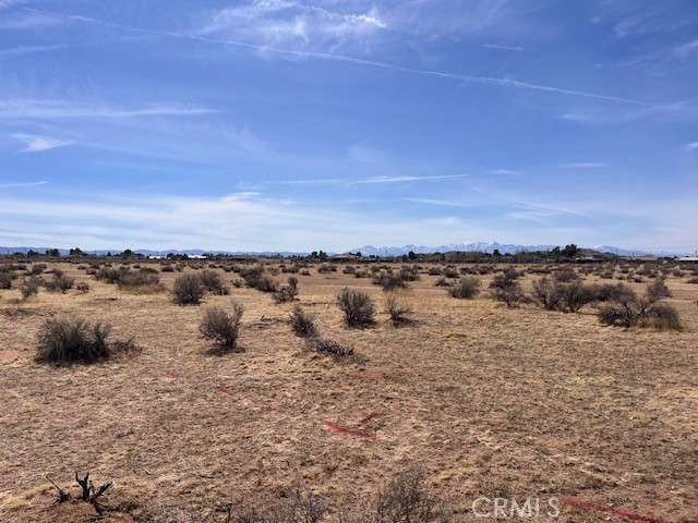 MLS #HD25222307 image #10