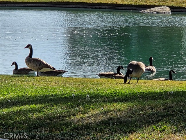 Detail Gallery Image 3 of 36 For 631 La Costa, Banning,  CA 92220 - 2 Beds | 2 Baths