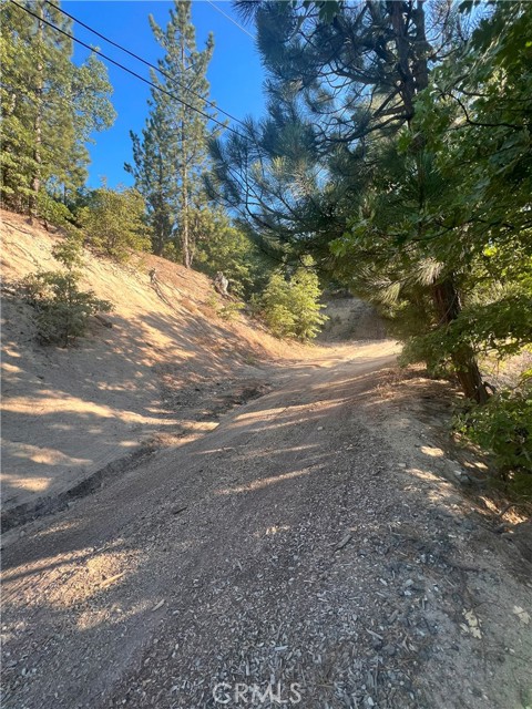 3300330 Elder Drive, Cedar Glen, California 92321, ,Land,For Sale,3300330 Elder Drive,CRHD23128009