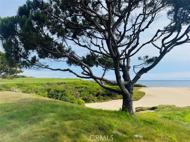 4621 Hampden Rd, Corona del Mar CA: https://media.crmls.org/medias/3b502990-03dd-4e4d-81a1-eb2278171612.jpg
