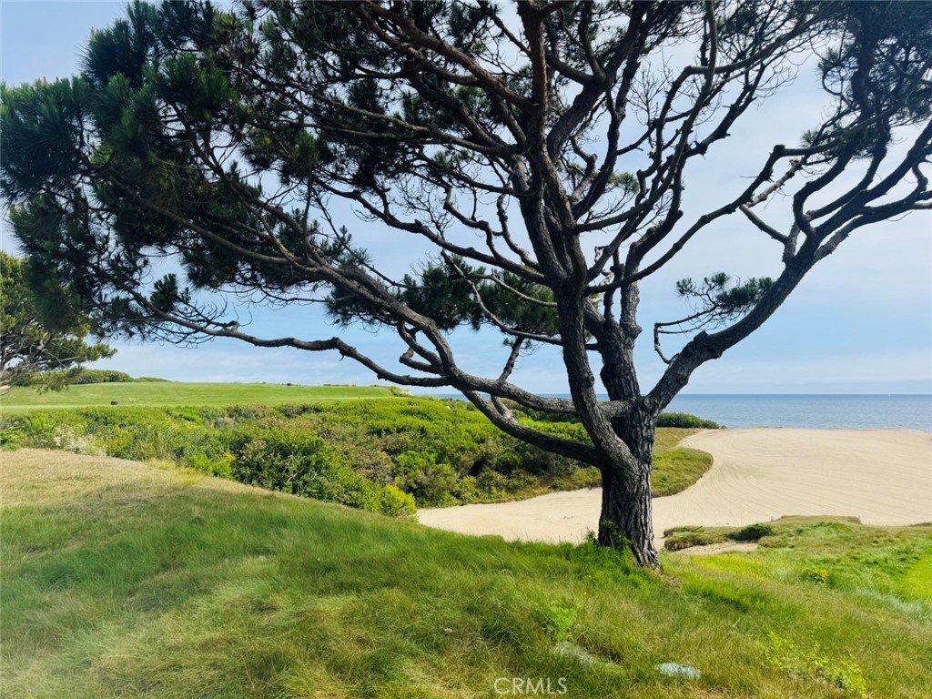 https://media.crmls.org/medias/3b502990-03dd-4e4d-81a1-eb2278171612.jpg?preset=X-Large