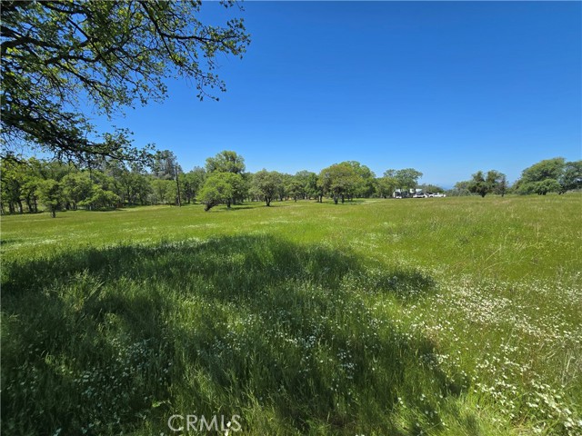 Detail Gallery Image 63 of 75 For 5963 Schilling Road, Coulterville,  CA 95311 - 3 Beds | 3 Baths