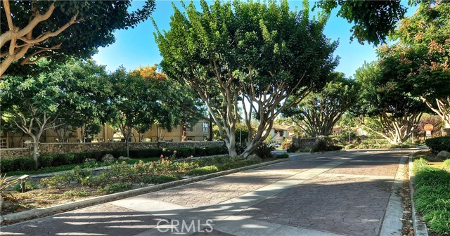 Seacove Place is beautifully manicured. Surrounded by trees and greenbelt.